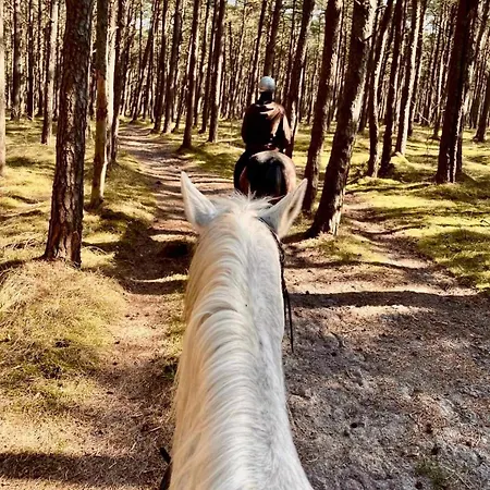 Apartamento Apartamentai *